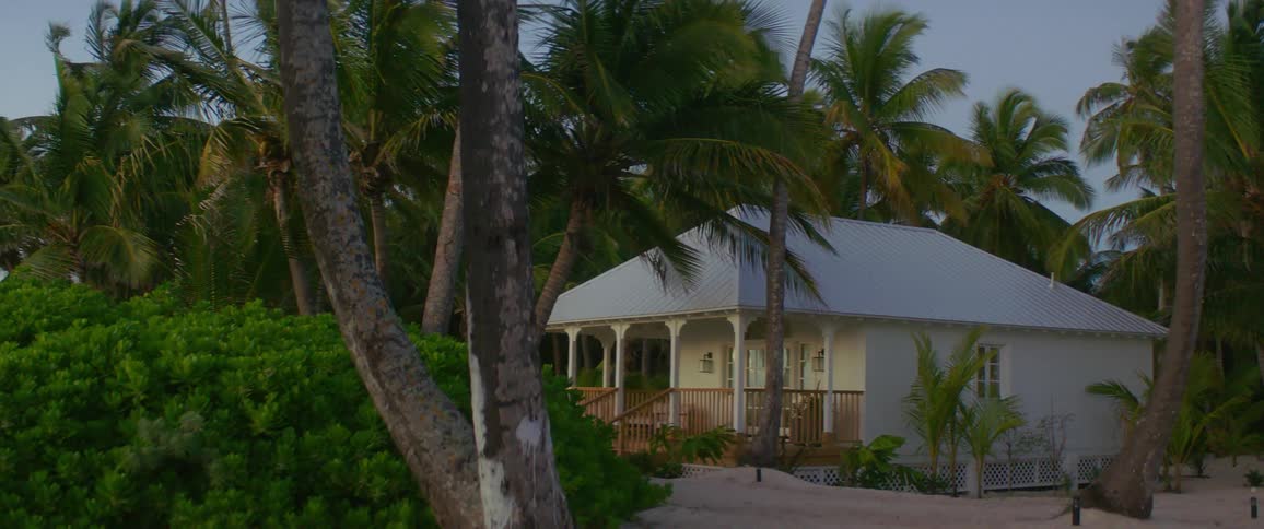 A small white house surrounded by palm trees on a sandy beach