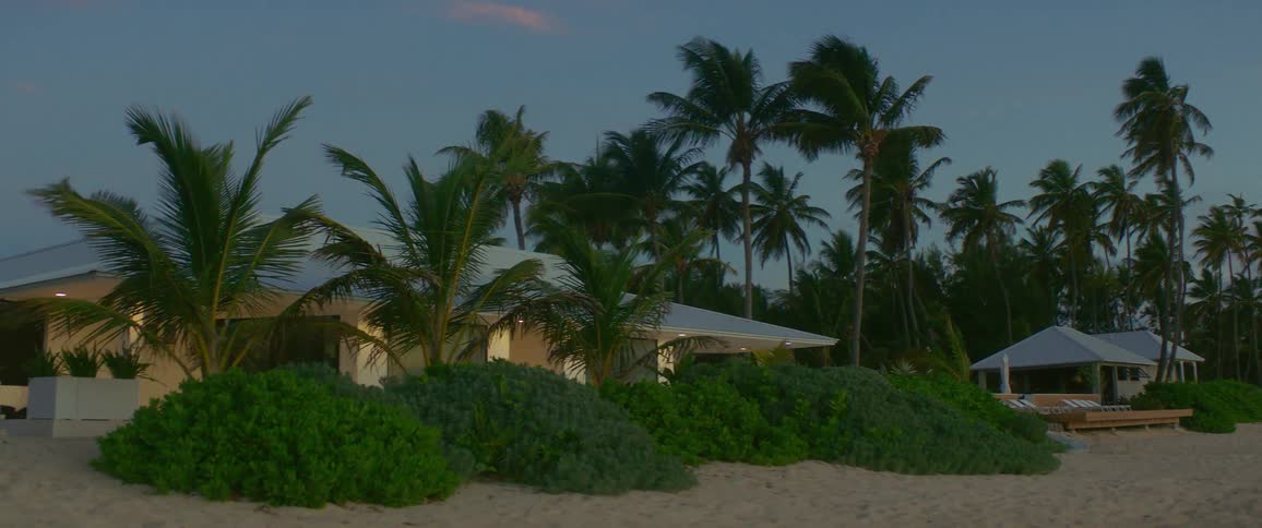 Two houses on the beach surrounded by palm trees and bushes