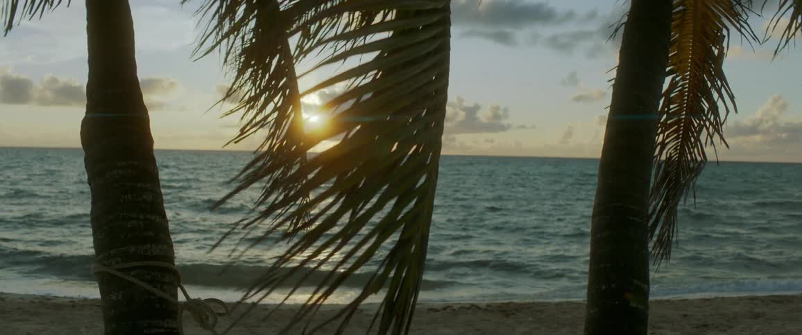 A sandy beach with palm trees and the ocean in the background