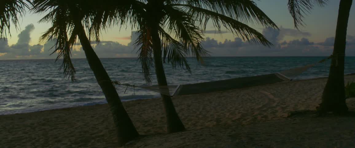 A hammock between palm trees on the beach