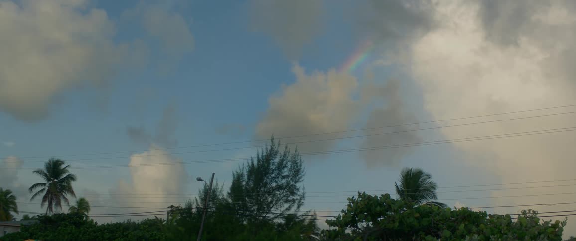 Rainbow between the clouds on a blue sky over palm trees