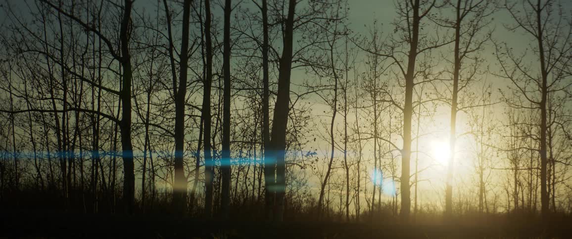 A truck drives past a forest with the sun setting