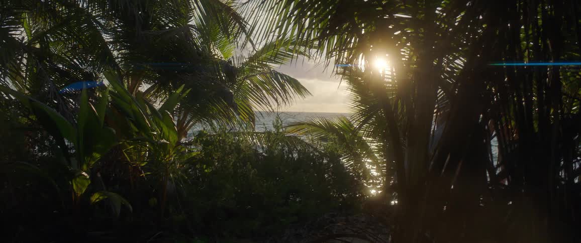A man and woman walk behind palm trees