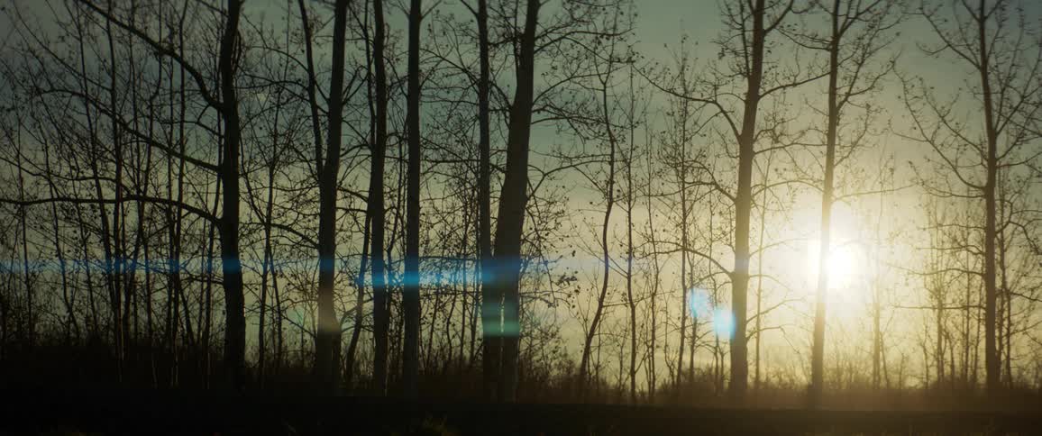 Pickup truck drives on forest road at sunset