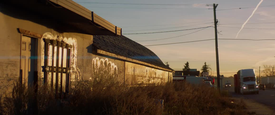 A rundown building covered in graffiti sits partially obscured by weeds