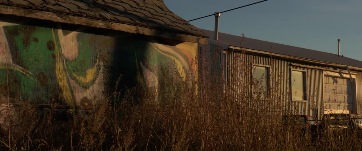 Bushes partially obscure a rundown building with graffiti painted on it