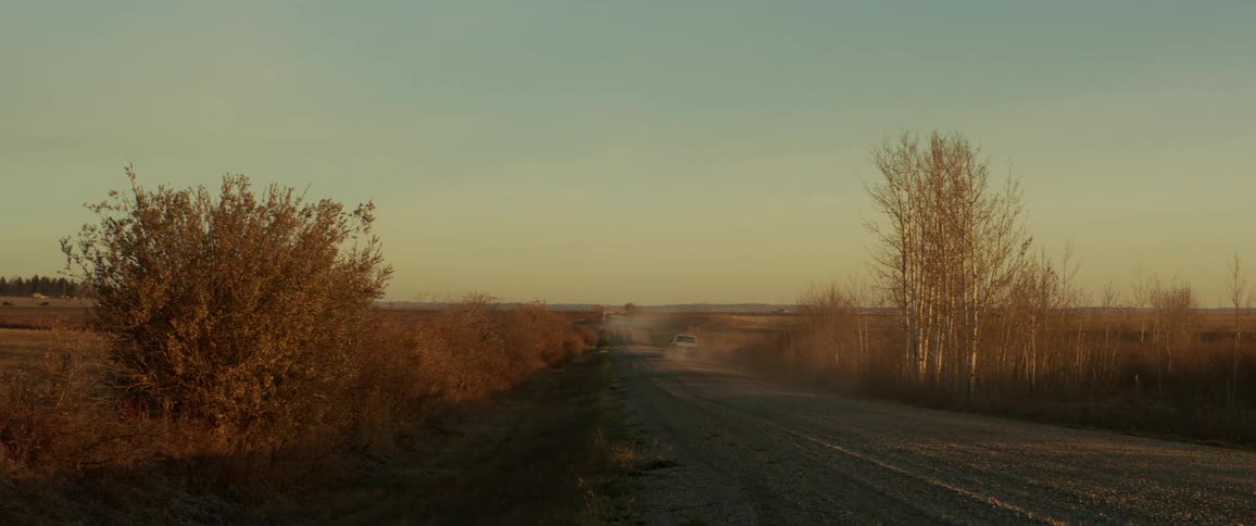 Pickup truck travels on a road between the fields