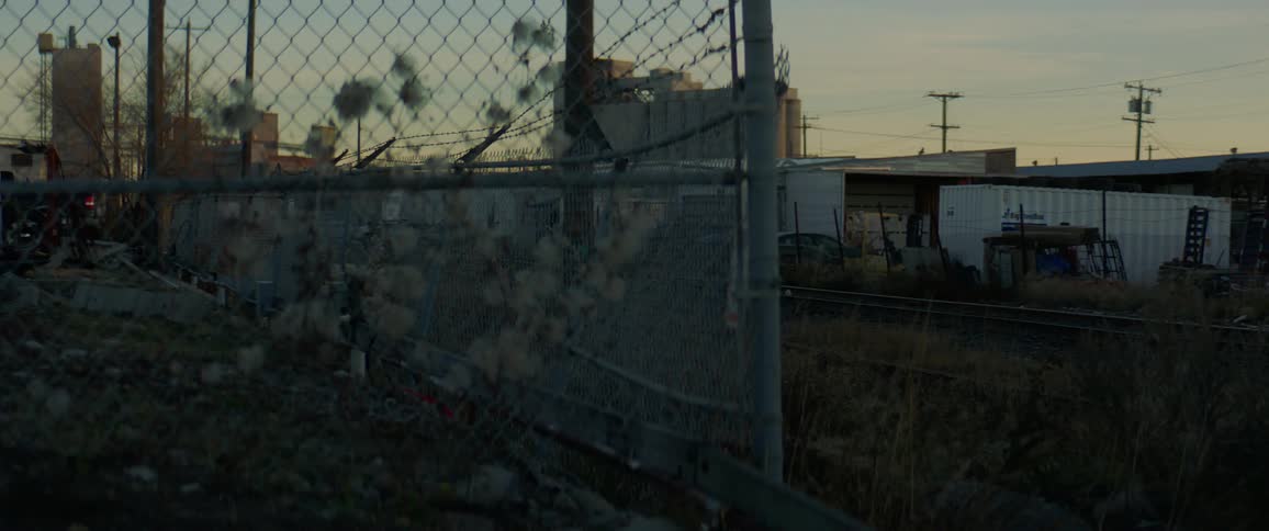 Bird flies over overgrown grass and distressed area near train tracks