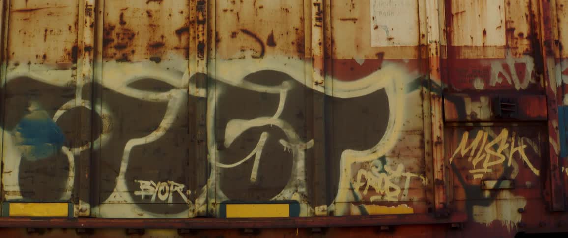 Graffiti words of various size and colors dot lower part of rusty railway car