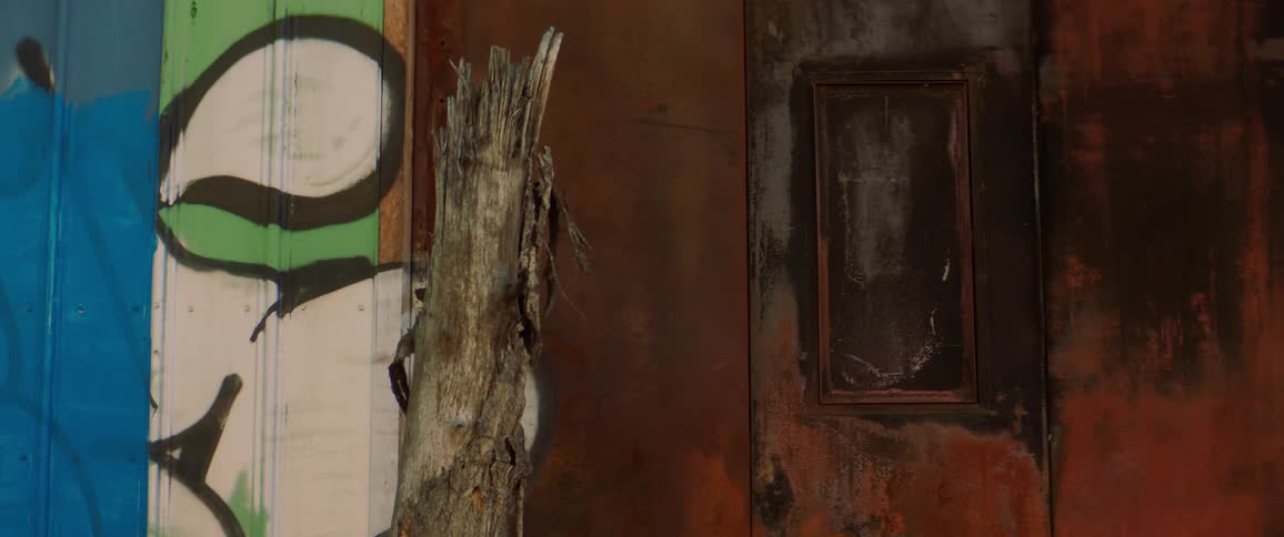 A log rests against the wooden planks of a wall painted with graffiti