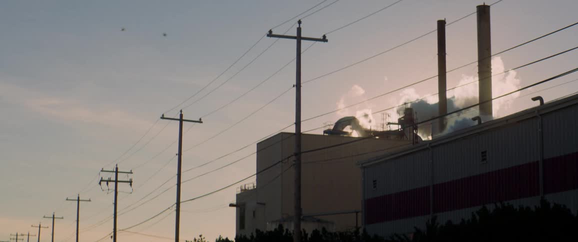 Birds flying over a factory as smoke pours out