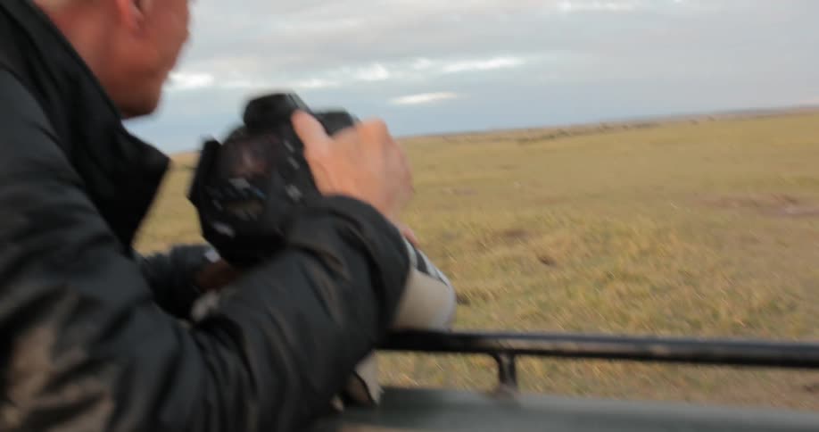 A man photographs wild animals from a jeep