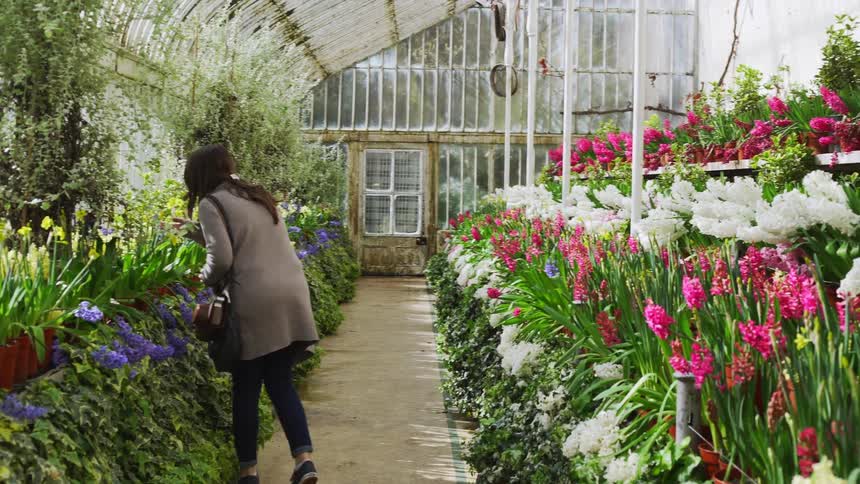 A woman leans over to smell a flower in a greenhouse