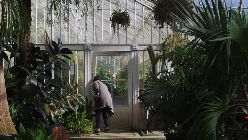 A woman opens a door and enters another greenhouse leaving the one with trees and potted plants