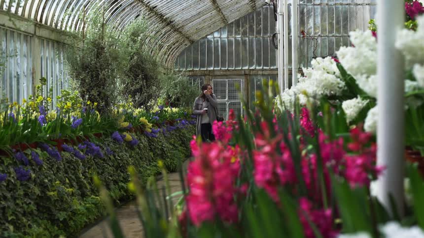 Woman walks through greenhouse past rows of flowers