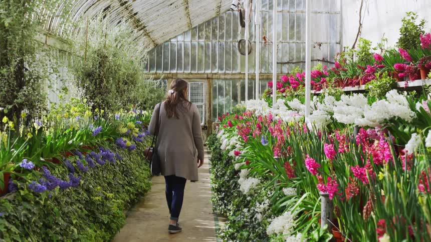 A woman walks through a greenhouse looking at flowers