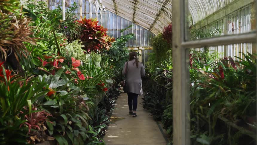 Woman walking through a greenhouse looking at plants