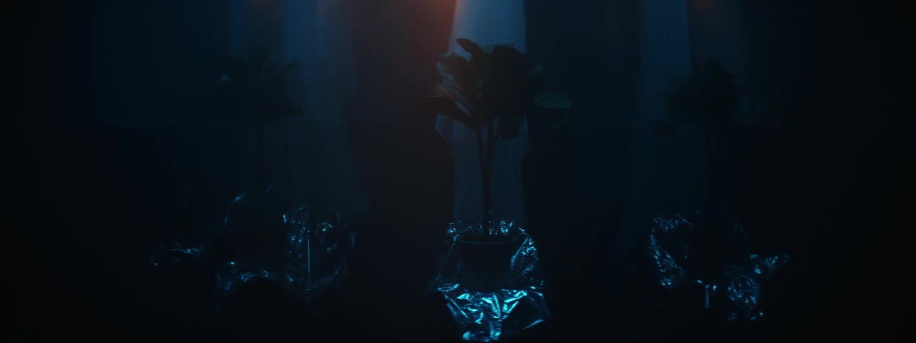 Flowers in vases in front of a window in a home