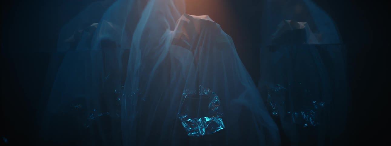 Thin fabric falls over silhouetted tree shapes and foil in dark under spotlight