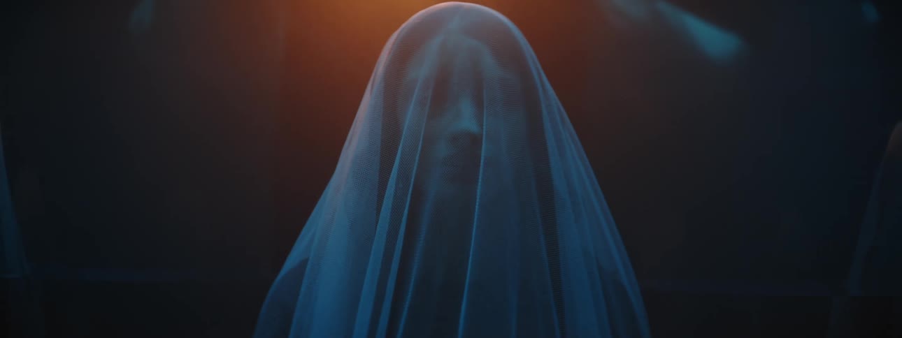 A woman stares straight ahead with a white see through fabric covering her face and body