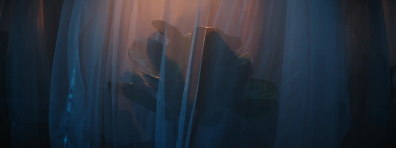 A curtain is raised off of a plant