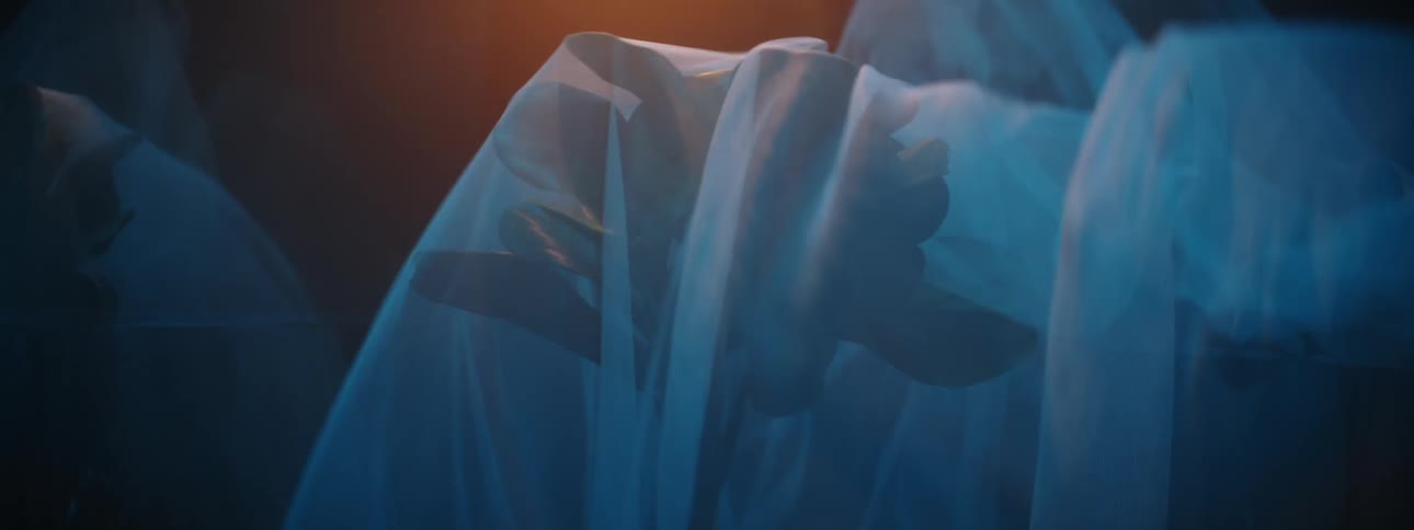 A light piece of fabric is dropped on a flower