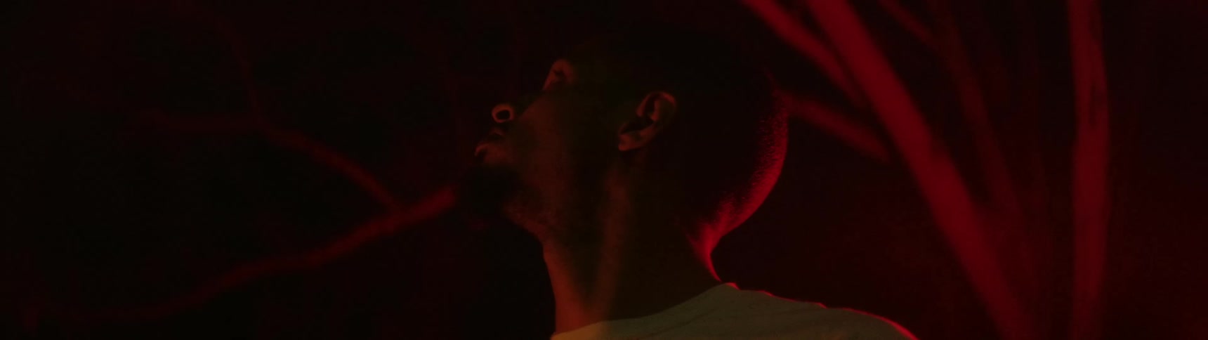 A man stands under trees with a red light shining as he looks up towards the sky