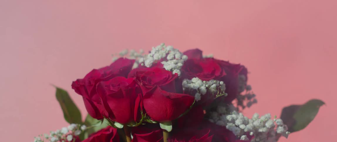 A bouquet of roses in front of a back drop