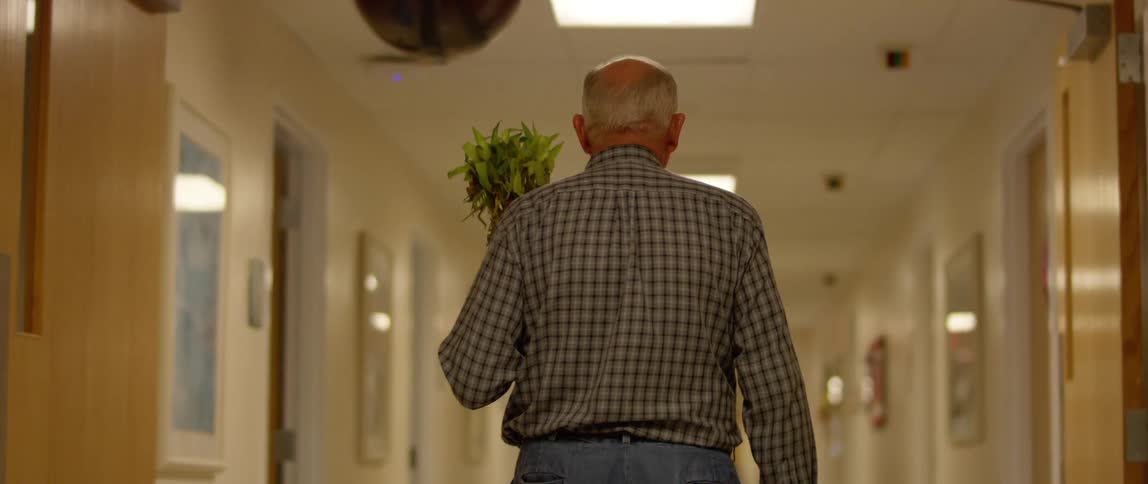 Elderly man carrying plant walks down hospital corridor