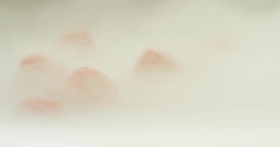 Red raspberries are covered in smoke until blown away
