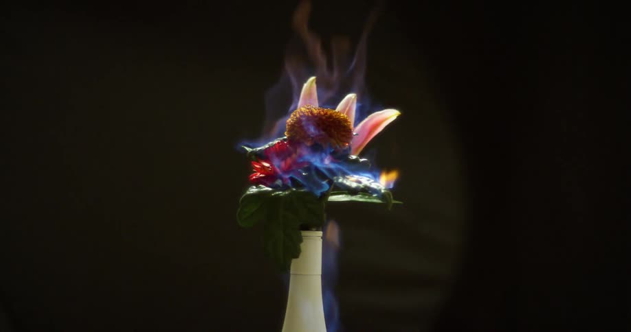 Flowers in a vase engulfed in flames