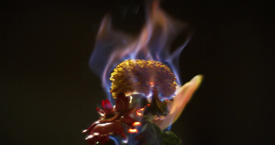 A small bundle of spinning flowers catch on fire and burn