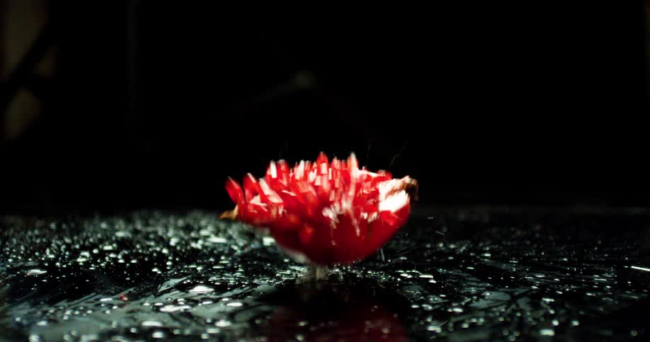 The pomegranate falls to the ground and its seeds scatter