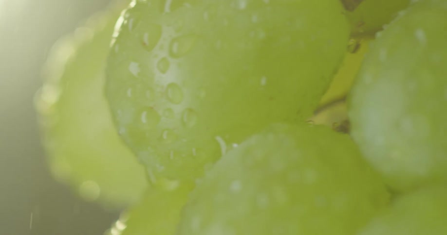 Grapes with water on them