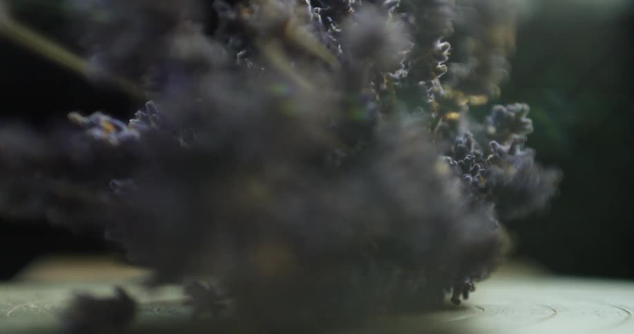 Bouquet of dried flowers rotates on hard surface in dark room