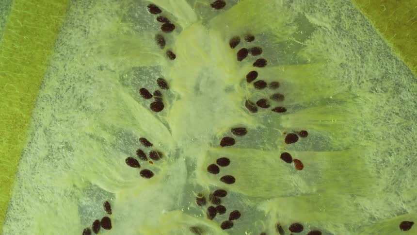 Close up of seeds inside a citrus fruit