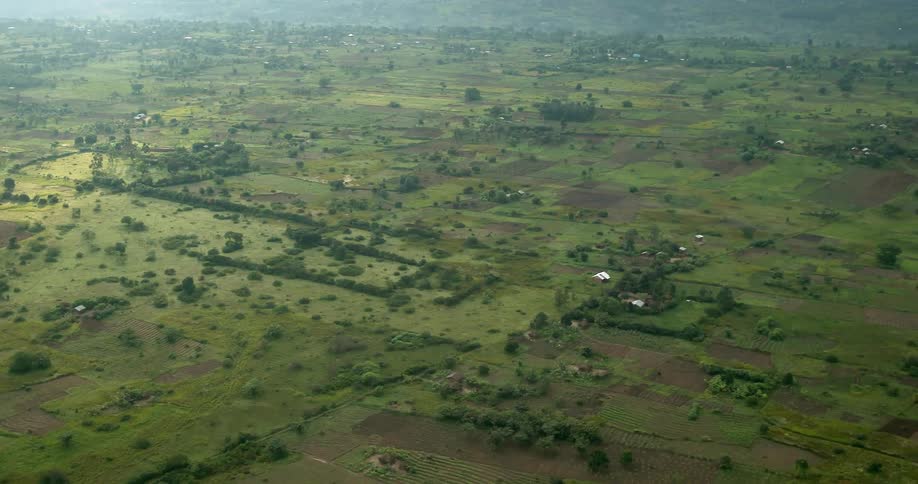 Fields dotted with trees during the day