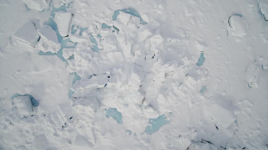 Water is visible underneath a cracked surface of ice
