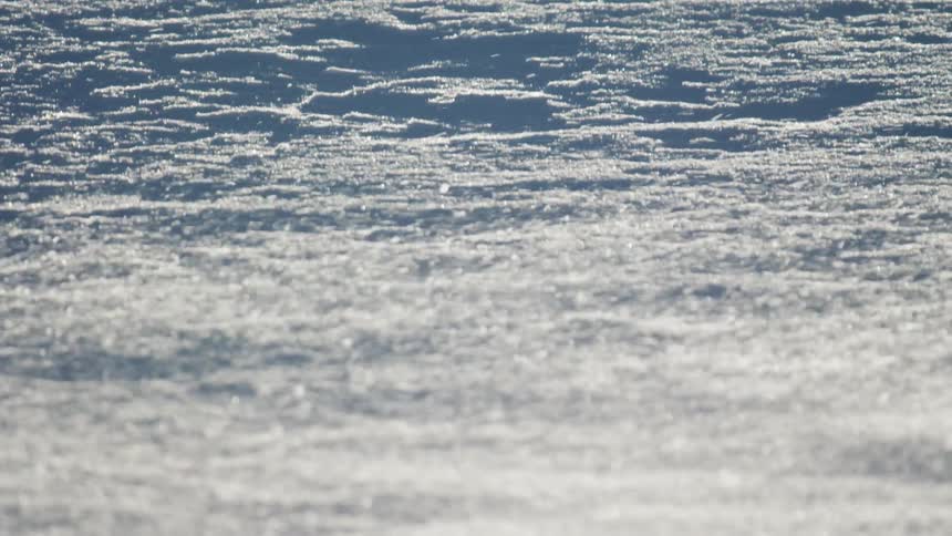 Snow blowing across the ground