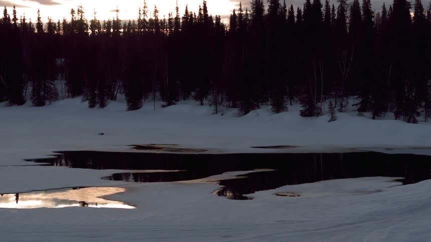 A partially frozen pond surrounded by snow and evergreen forest