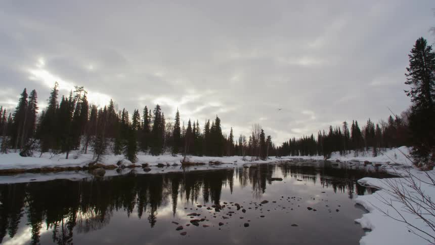 A plane flies over a forest and lake during the winter
