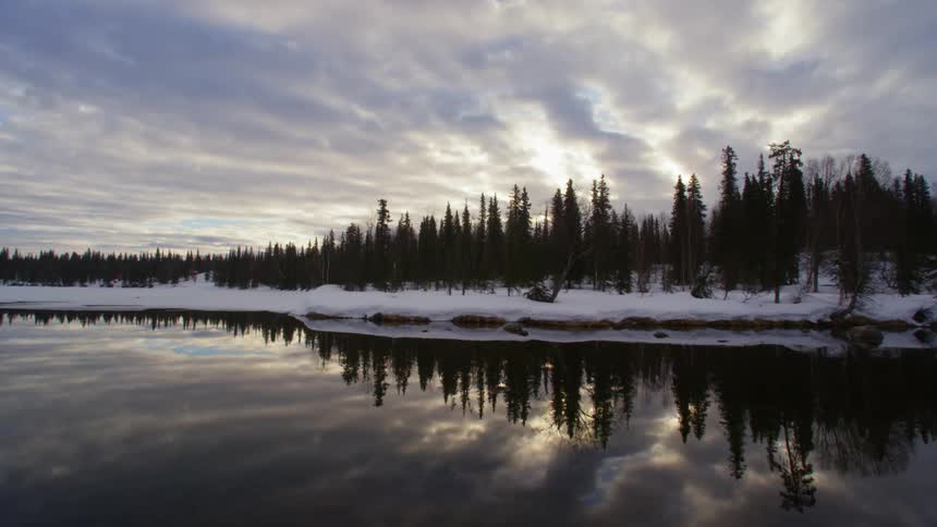 Snow covered pine tree forest at the shore of a serene lake at sunset