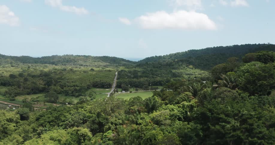 Aerial view of road traveling through tropical island