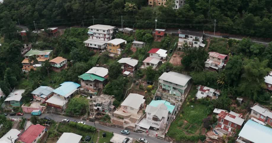 Homes in a neighborhood litter a hillside covered in trees