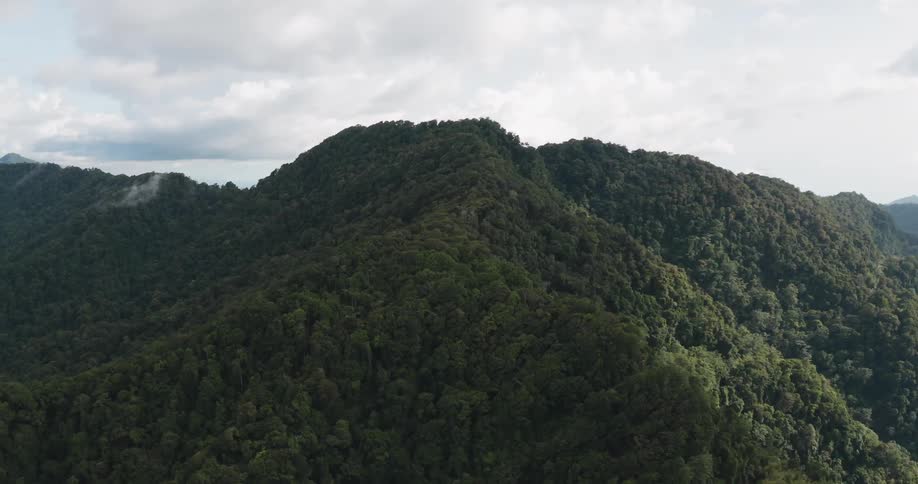 Dense forest covers a mountain range