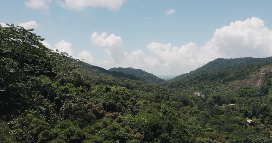 Aerial view of a tropical rainforest valley