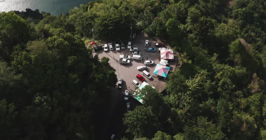 Aerial view of a tropical market