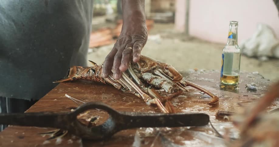 A man cuts into a whole lobster