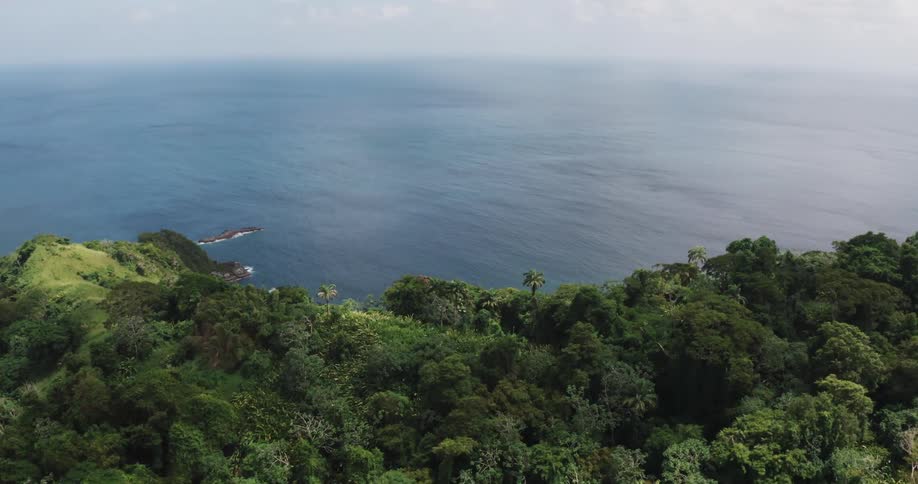 Aerial view of rainforest on an island