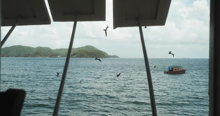 A ocean with birds flying above it a boat floating on it with land and the sky in the background